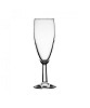 Champagneflute savoie 17cl krat 40 stuks